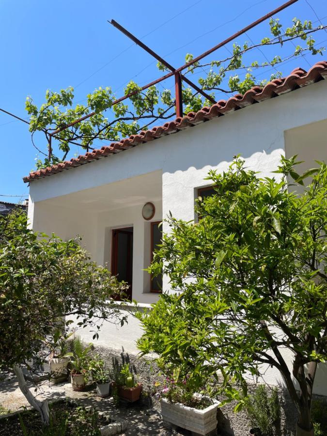 Hotel Vila Cano Durrës Zewnętrze zdjęcie