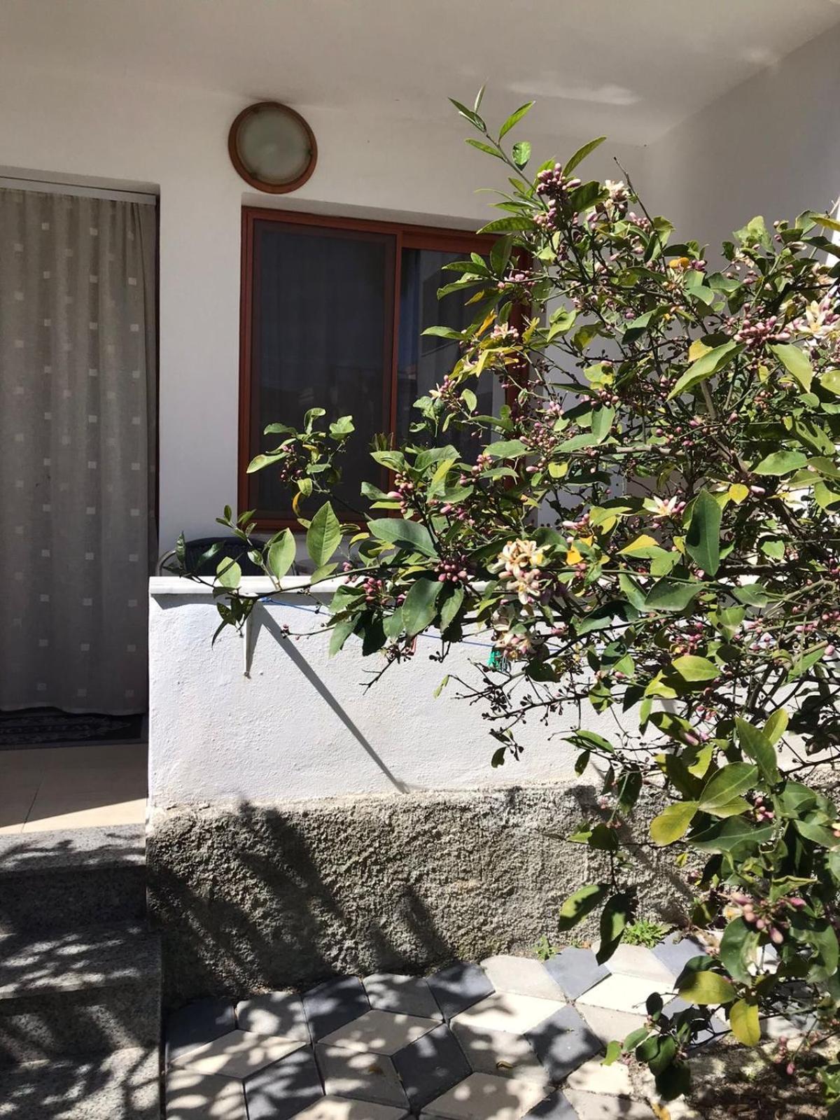 Hotel Vila Cano Durrës Zewnętrze zdjęcie